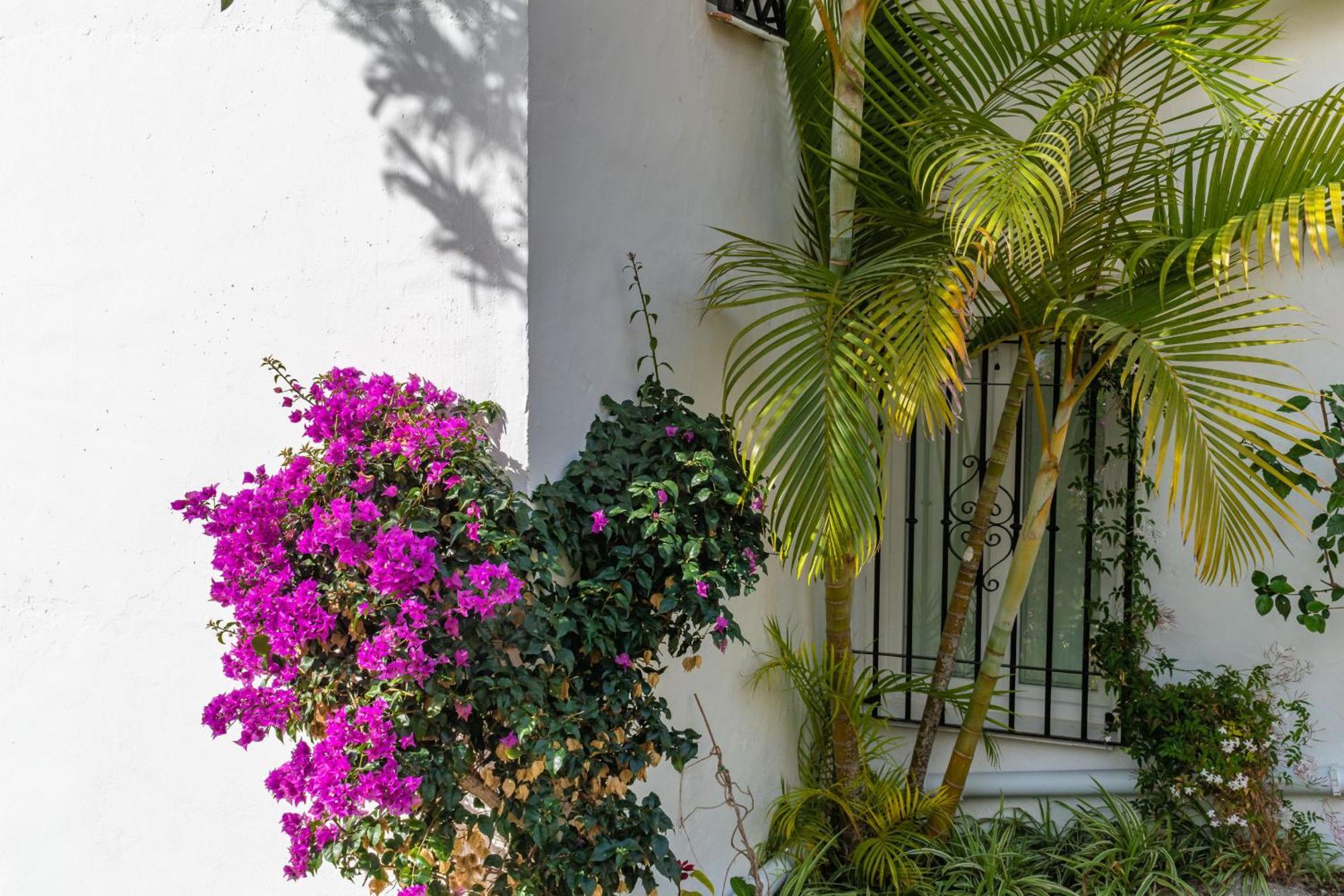 Appartement Palmas 17b Oasis *